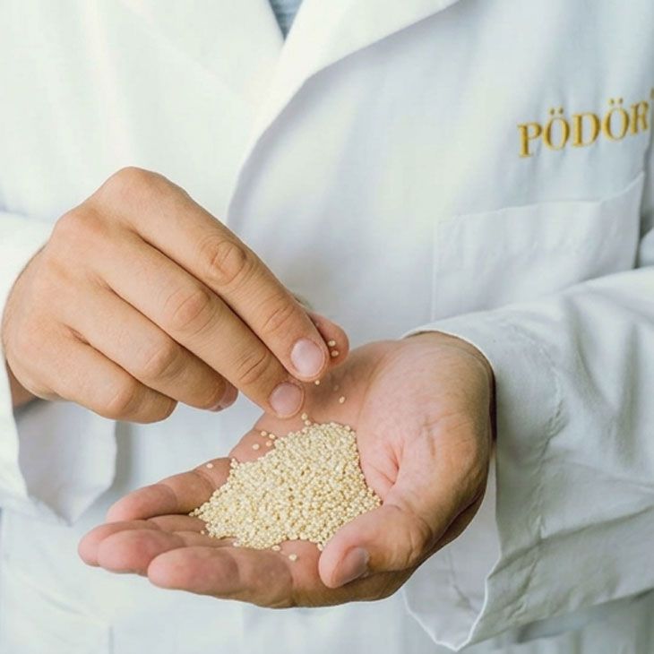 Bio Sesamöl kaltgepresst