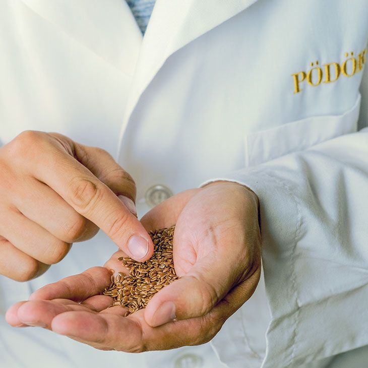 Bio Leinöl kaltgepresst